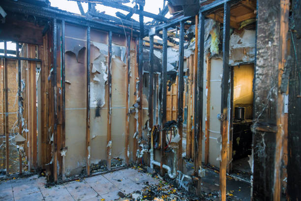 Professional Soot Cleanup technician working in Palmyra, NJ